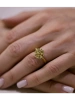42/19/11942/images/5264/5264.970.webp_сайт